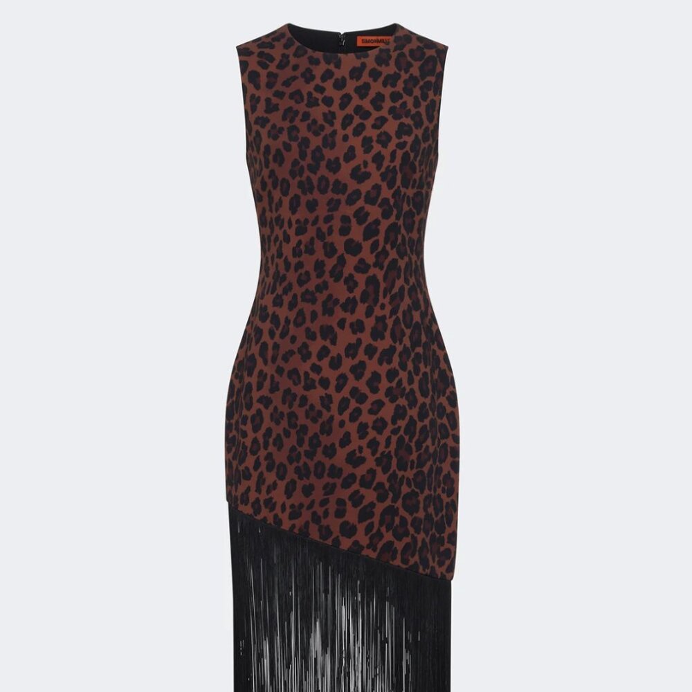 Simon Miller Casablanca fringe dress